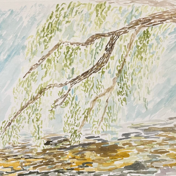 Painted Bunting Art Ottawa at