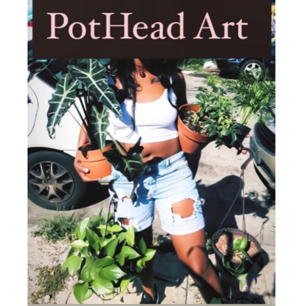 PotHead Art Philadelphia at